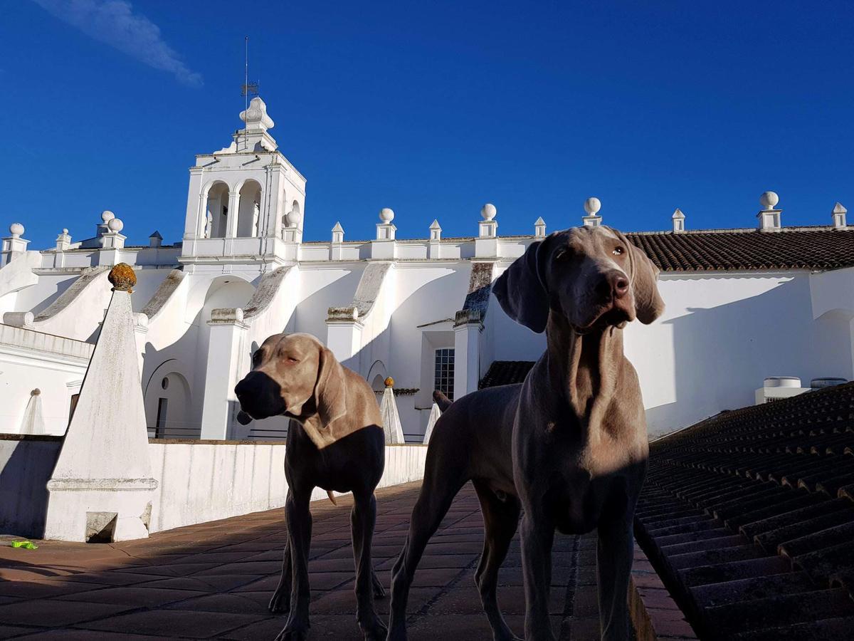 Convento Do Espinheiro, Historic Hotel & Spa Évora Eksteriør bilde